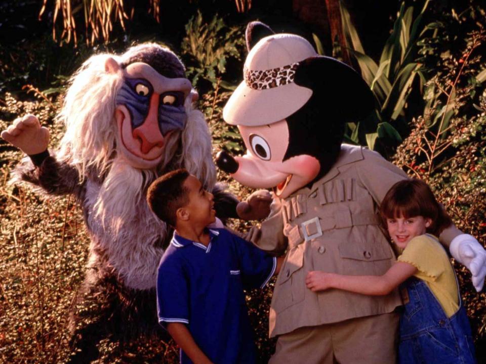 animal kingdom 1998