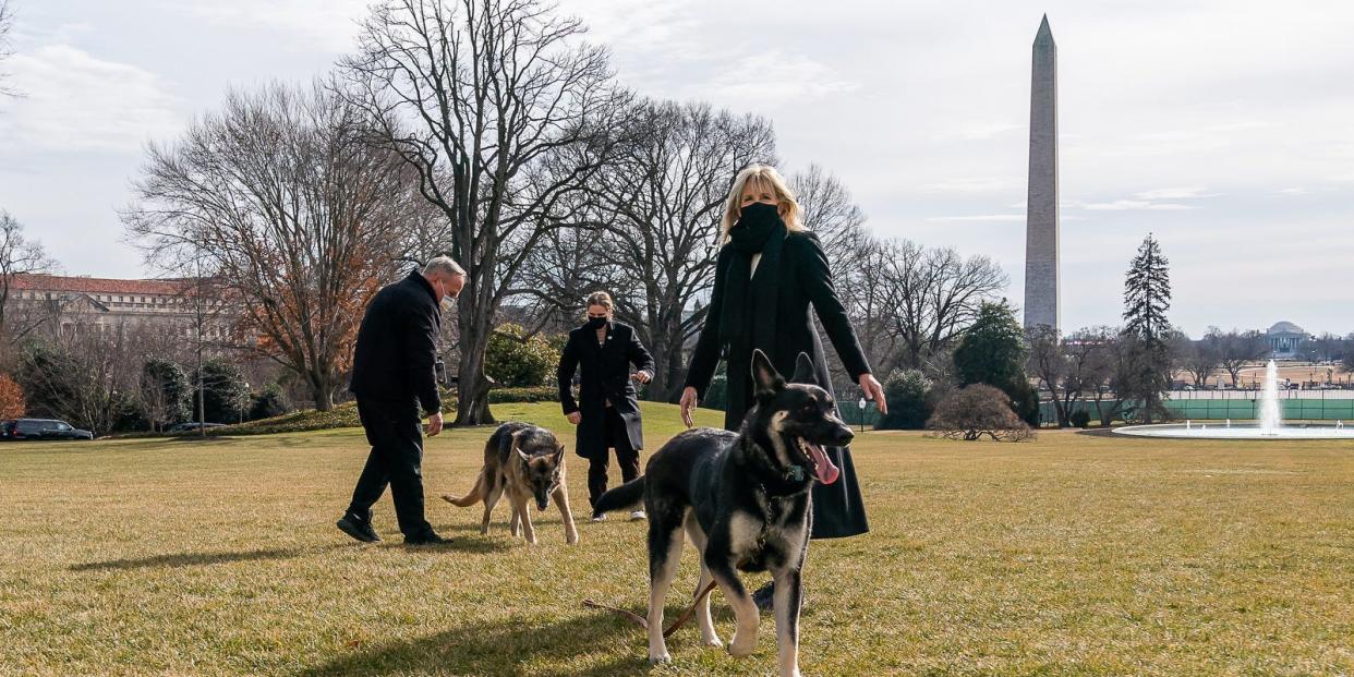 joe biden jill biden white house dogs