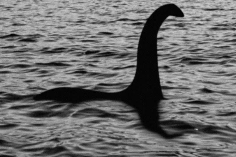 Thousands of people have tried to see the Loch Ness Monster - and some have taken out insurance policies in case Nessie attacks