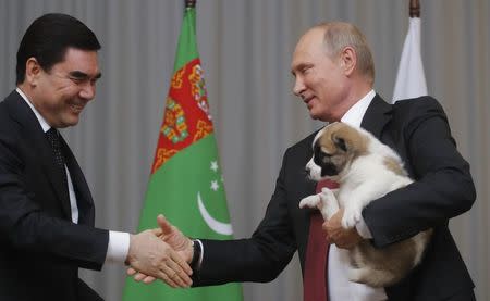 Turkmenistan's President Gurbanguly Berdimuhamedov (L) shakes hands with his Russian counterpart Vladimir Putin after presenting him a Turkmen shepherd dog, locally known as Alabai, during a meeting in Sochi, Russia October 11, 2017. REUTERS/Maxim Shemetov