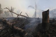 Fires surge in Brazilian Amazon for the third straight year in Labrea