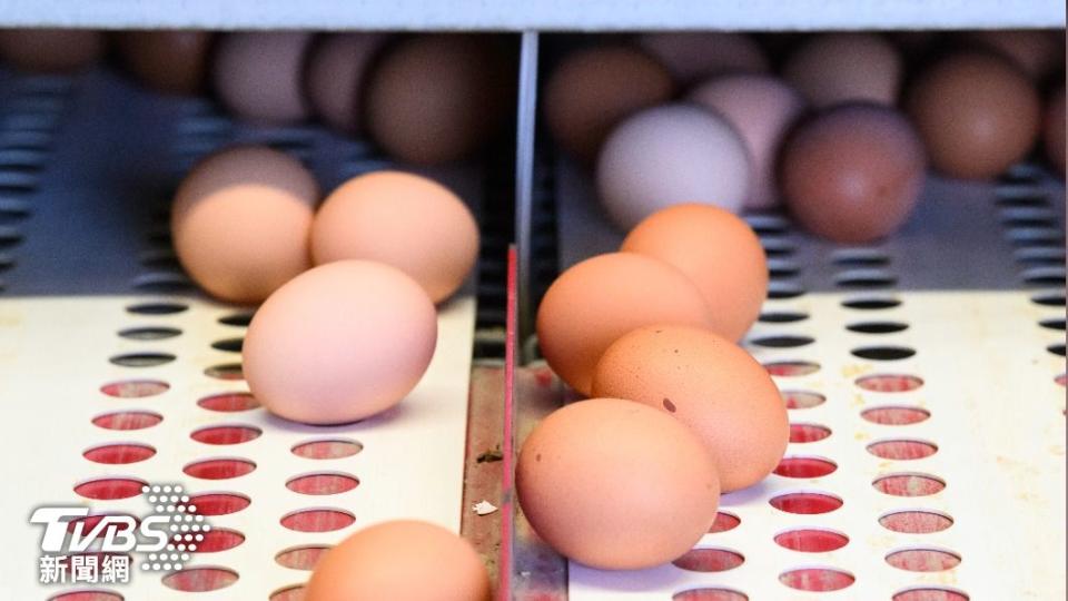 受到禽流感影響，美國蛋價也飆漲創新高。（圖/達志影像美聯社）