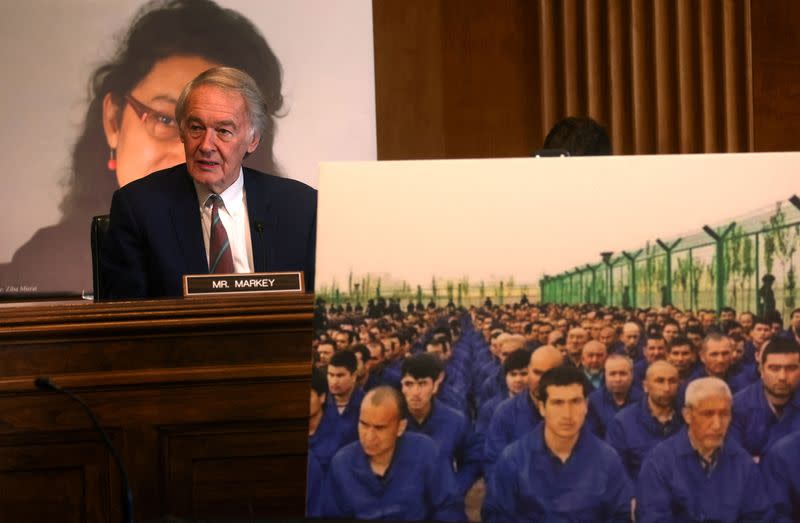 U.S. Sen. Ed Markey (D-MA) takes part in a joint hearing on Capitol Hill in Washington