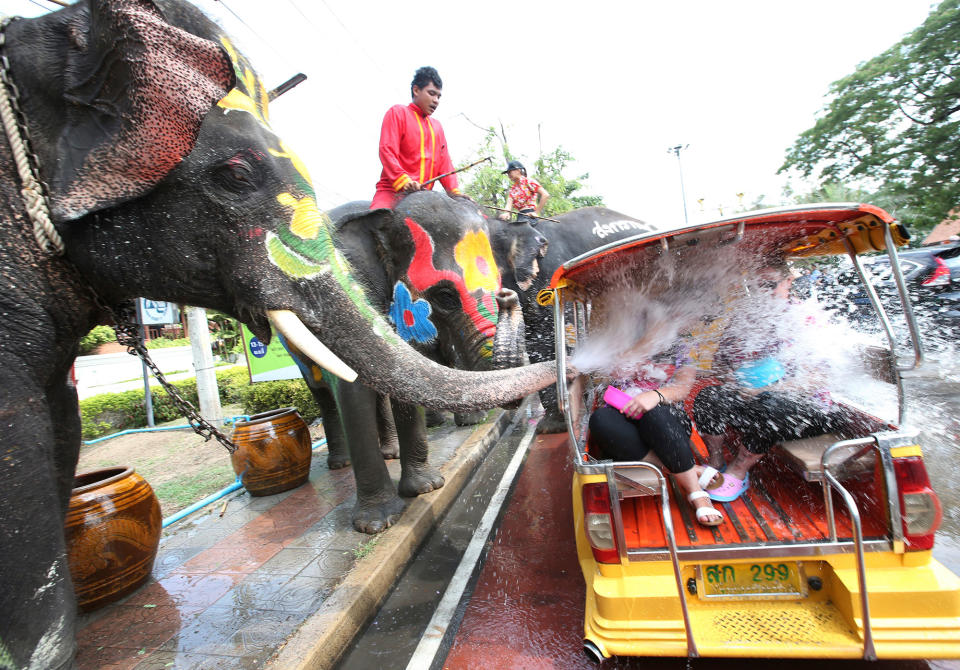 Elephant blows water at tourists