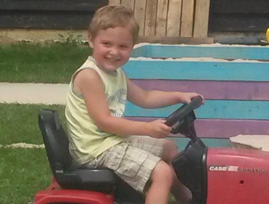 Three-year-old Dexter Neal was killed by an American Bulldog in August 2016: Essex Police