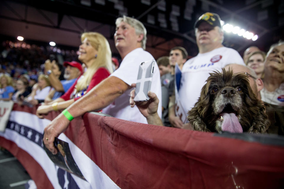 A dog sits on the lap of a man in the front row as presidential candidate Trump speaks at a rally at Valdosta State University in Valdosta, Georgia, on Feb. 29, 2016.