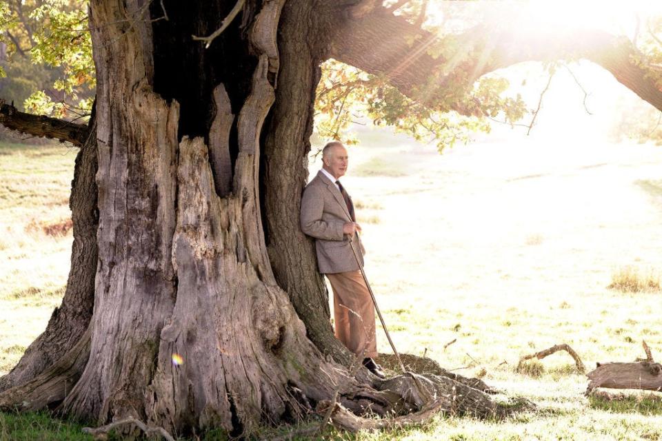 King Charles leans against a tree