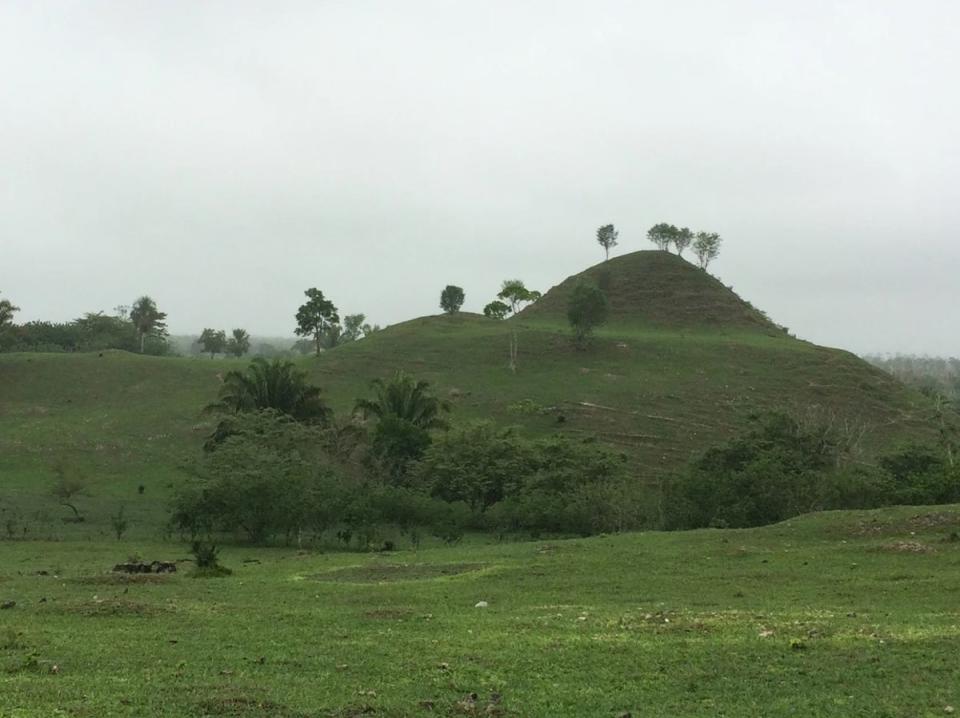 Un montículo cubierto de pasto en Ucanal oculta una gran pirámide, que aún no ha sido excavada adecuadamente (Proyecto Arqueológico Ucanal)