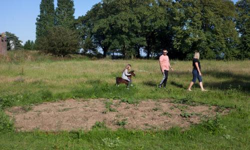 Removal of artwork An English Garden by Gabriella Hirst