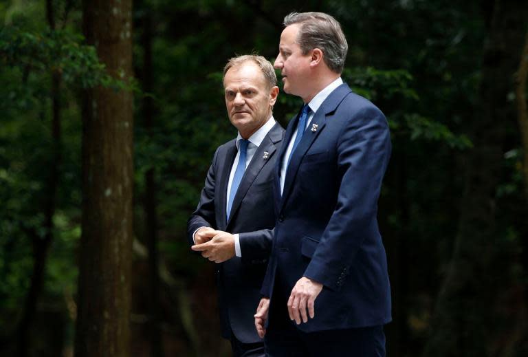 EU president Donald Tusk says he told David Cameron to 'get real' over his 'stupid' Brexit referendum
