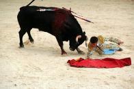 西班牙鬥牛禁不禁？最高法院以國家遺產為由宣告禁令違憲，意指鬥牛儀式將回歸。(photo by Wikimedia)