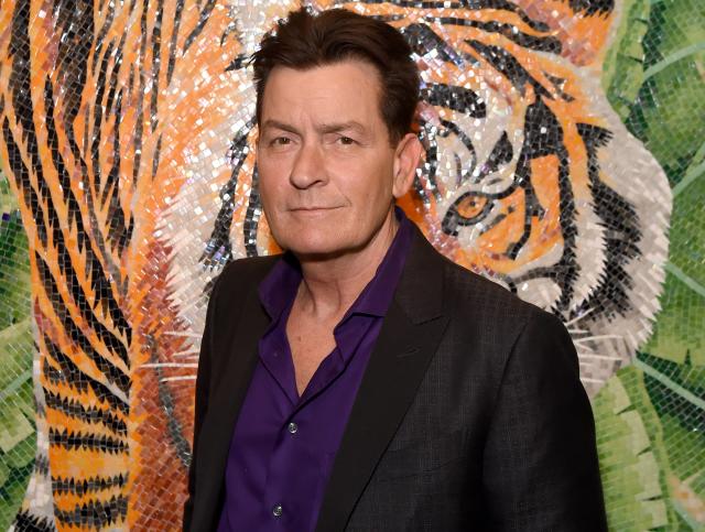 Charlie Sheen And Denise Richards's Daughter Sami Had To Clarify Her Job As  A \