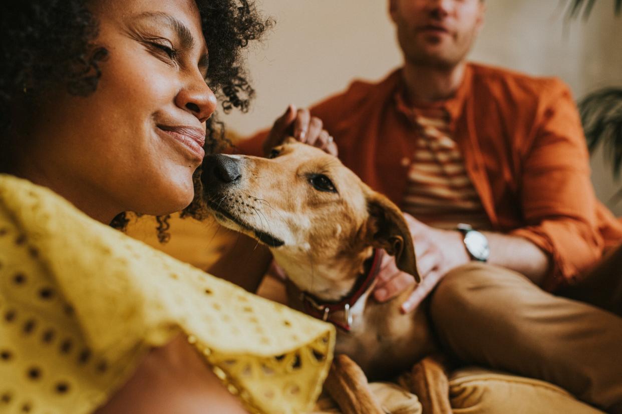 a dog nuzzles up to a woman while a man pets them in the background