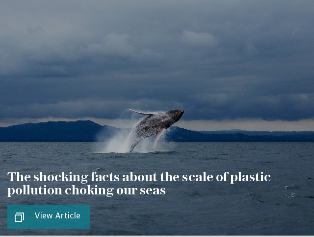 The shocking facts about the scale of plastic pollution choking our seas