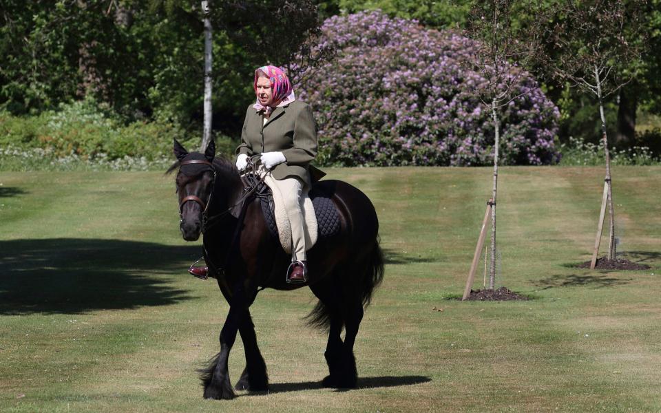 The Queen with Balmoral Fern at Windsor - Steve Parsons