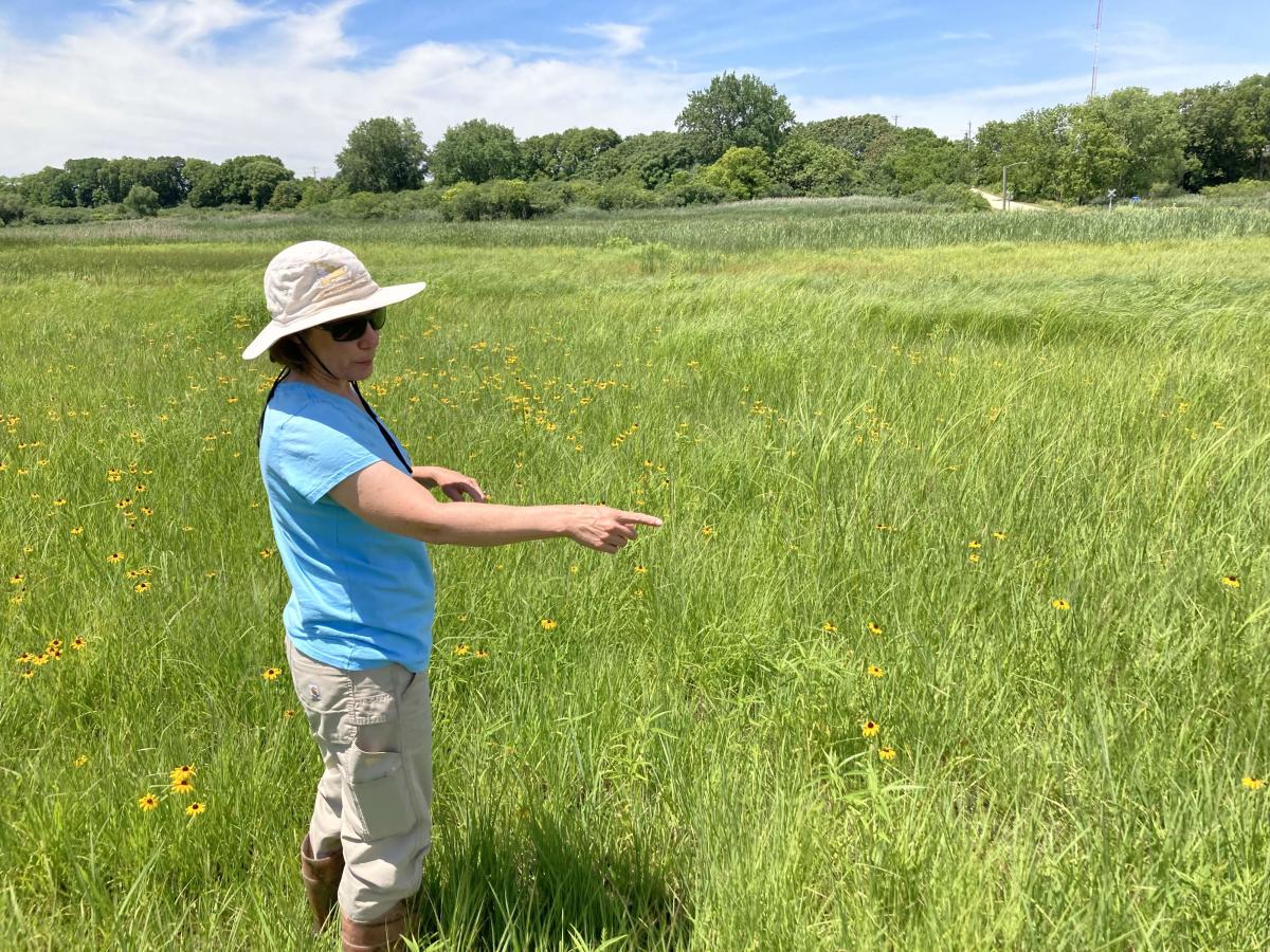 ‘Globally rare’ habitat in Lockport gets additional  million, attention from Army Corps