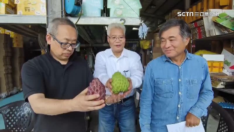 日本水果通路公司副社長岡本俊一郎（左一）對台灣出現多色又飽滿的釋迦感到不可思議。