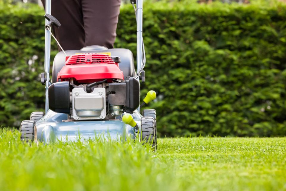 Keep your lawn mowed to a height of 2 to 2-1/2 inches tall throughout the fall.
