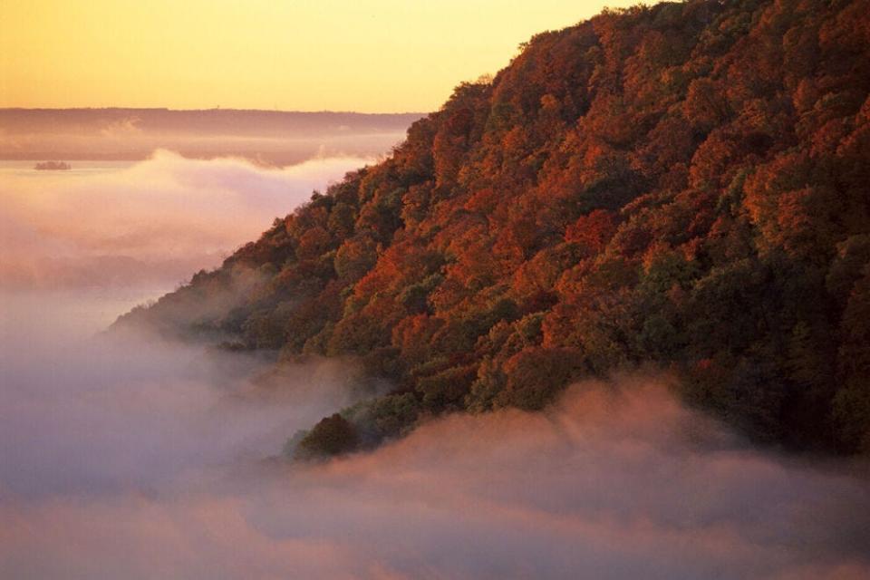 View the Mississippi River Valley in fall colors from a scenic overlook near Winona, Minnesota