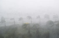 <p><strong>Miami</strong><br>Heavy winds and rain from Hurricane Irma are seen in Miami, Florida on Sept. 10, 2017.Hurricane Irma’s eyewall slammed into the lower Florida Keys, lashing the island chain with fearsome wind gusts, the US National Hurricane Center said. (Photo: Saul Loeb/AFP/Getty Images) </p>