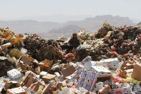 A boy sits on a pile of rubbish at a landfill site on the outskirts of Sanaa, Yemen November 16, 2016. REUTERS/Mohamed al-Sayaghi