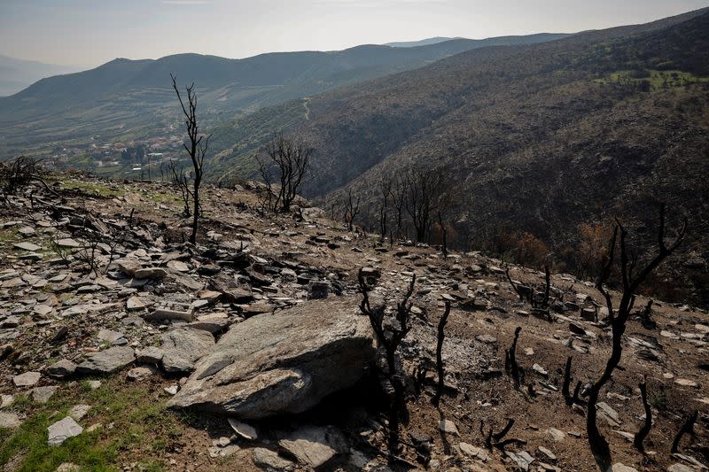 The Wider Image: Hit by floods and fires, Greek villager has lost hope