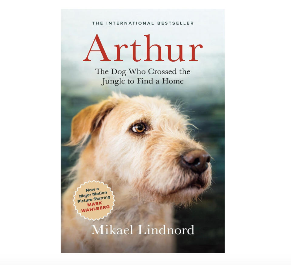 arthur the dog book on amazon