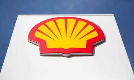 FILE PHOTO: A logo for Royal Dutch Shell is seen on a garage forecourt, March 6, 2014. REUTERS/Neil Hall/File Photo