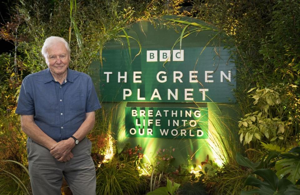 David en la premier de Green Planet en la COP26 en Glasgow (PA)