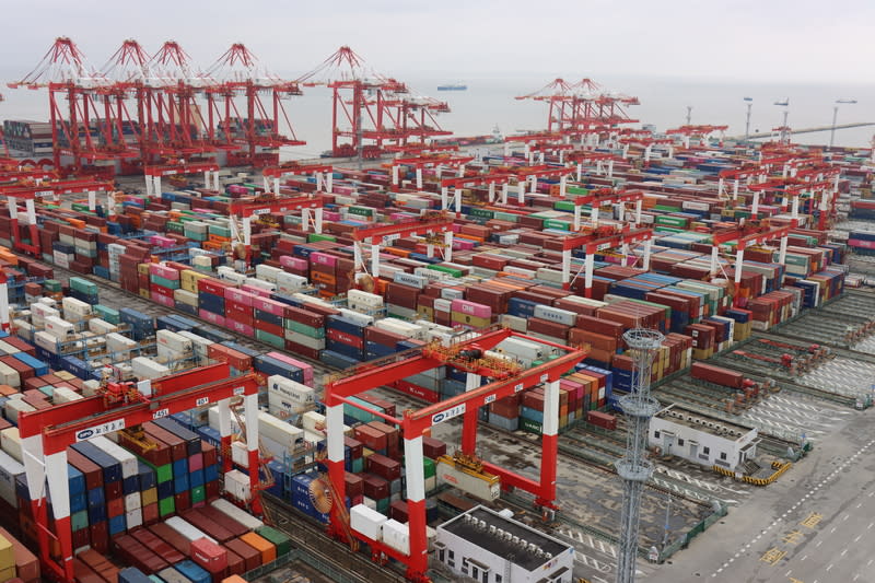 上海洋山港自動化貨櫃碼頭（1） 上海洋山港標榜是全球單體規模最大、綜合智慧程度 最高的自動化貨櫃碼頭，也是前總統馬英九等多名台 灣政要抵達上海參訪之處。 中央社記者張淑伶上海攝  112年8月29日 