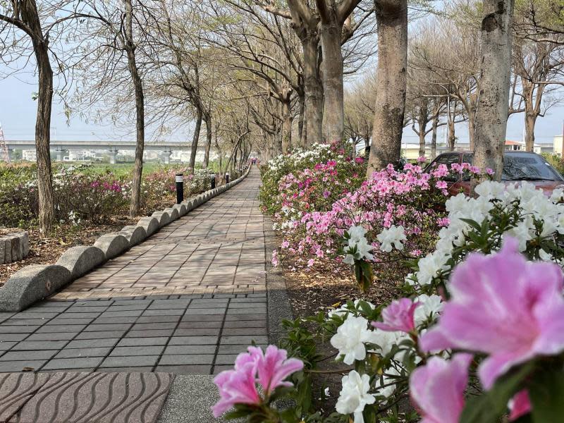 社頭杜鵑花季登場　作伙來賞花買在地農特產