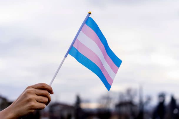 PHOTO: Transgender Flag (SSTOCK IMAGE/Getty Images)