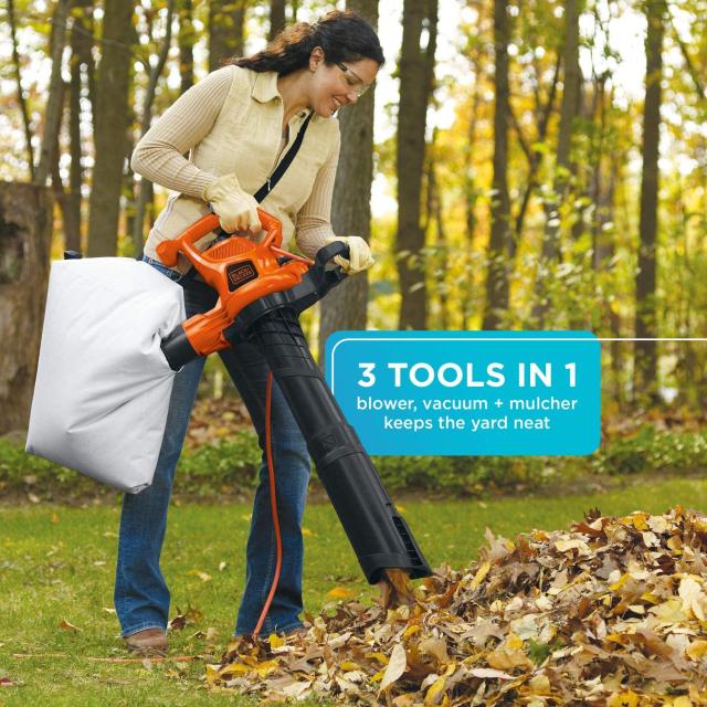 Black + Decker leaf blower 