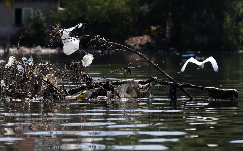 A bird flies next to garbage in the Guanabara Bay in Rio de Janeiro March 12, 2014. REUTERS/Sergio Moraes