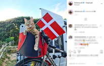 Nala, così Dean ha deciso di chiamare la gattina abbandonata diventata sua compagna di viaggio, ha girato il mondo dentro il cestino della bicicletta. La coppia ha percorso insieme più di 16mila chilometri con Nala che si è avventurata in funivia e si è persino divertita a fare kayak.