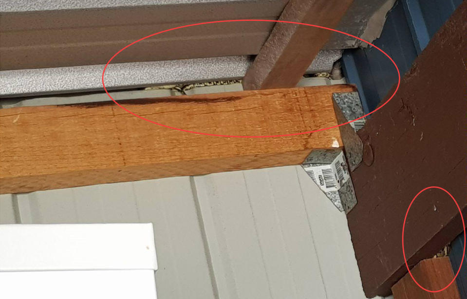 Can you spot the snakes hiding in this Brisbane property?