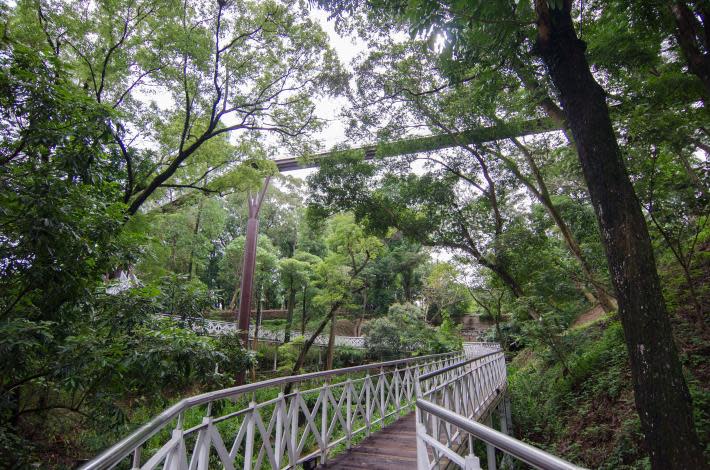 竹崎親水公園花仙子步道