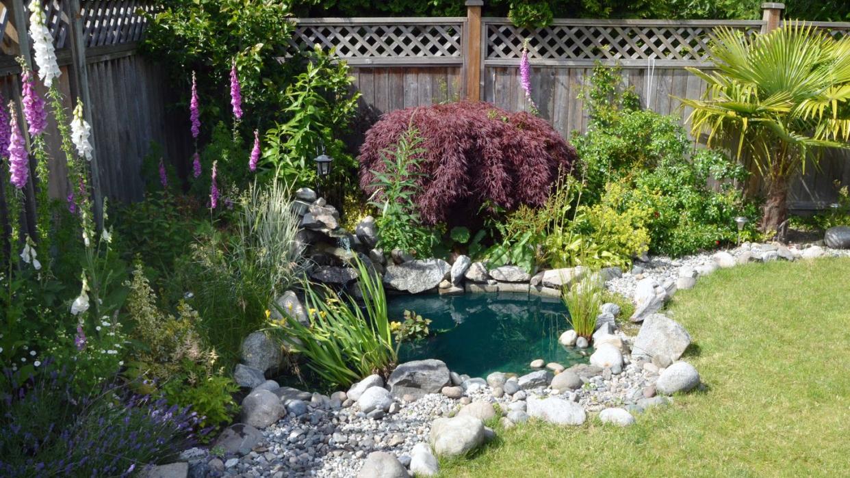 rock garden ideas pond