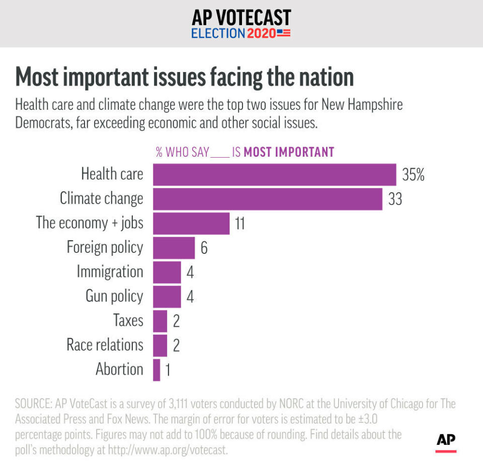 New Hampshire's Democratic voters identify the issue they see as most important in the country today, according to AP VoteCast.;