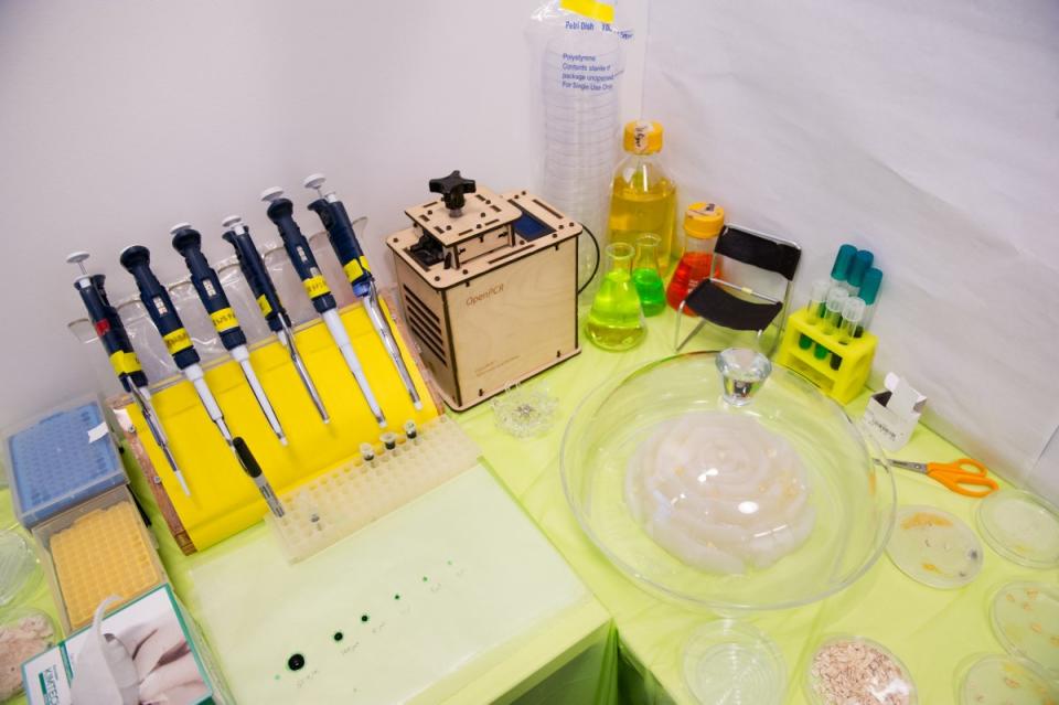 DIYBIO lab