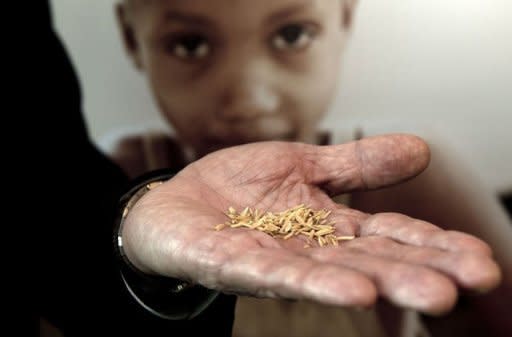 Alan Brandt, research head at EntoGenex, displays a kind of pesticide at his office in Kuala Lumpur. A Malaysian prince is promoting a novel weapon against the worsening scourge of dengue fever: a protein "pill" that starves mosquito larvae and could revolutionise the global dengue fight