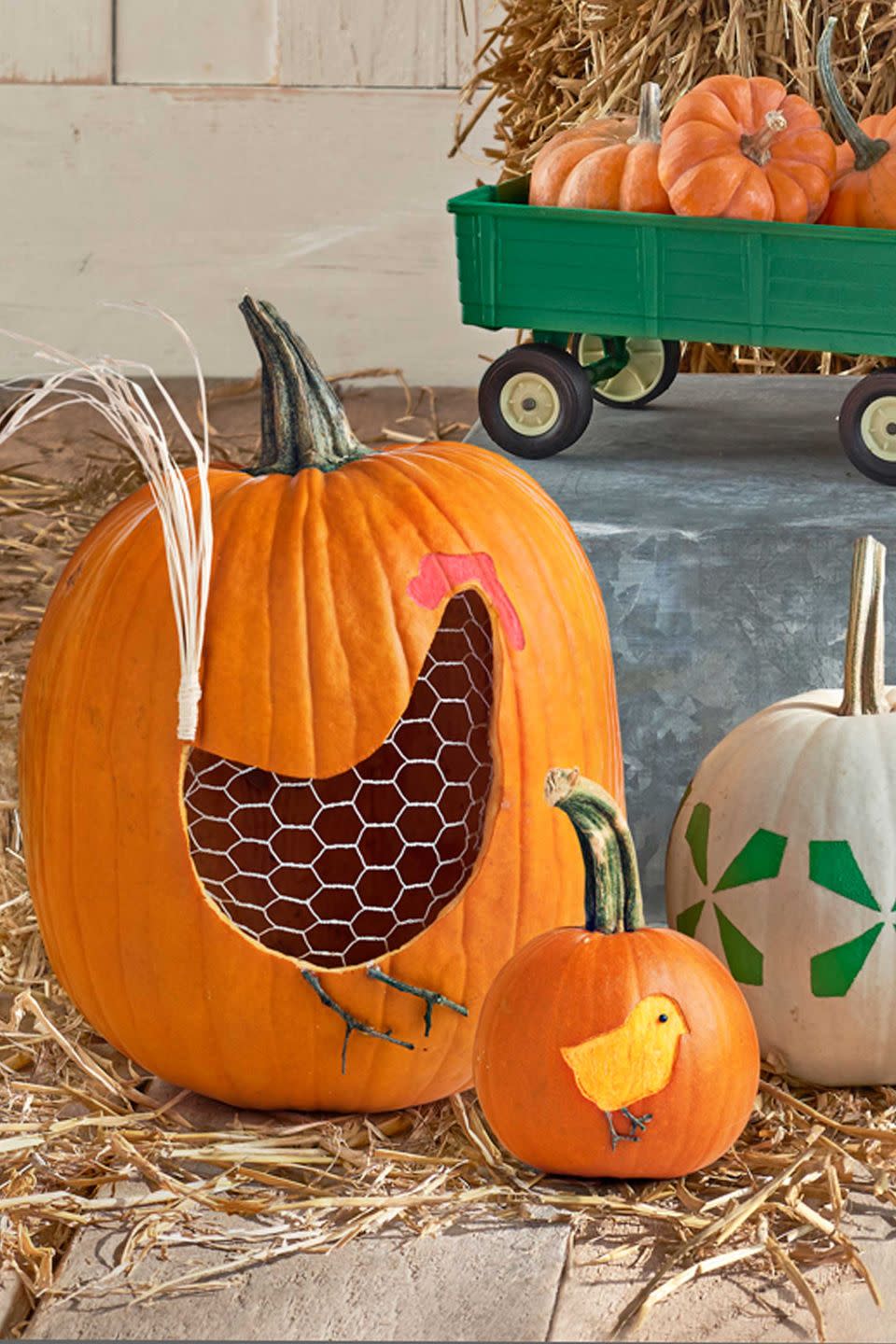 Hen and Chicks Pumpkin Designs