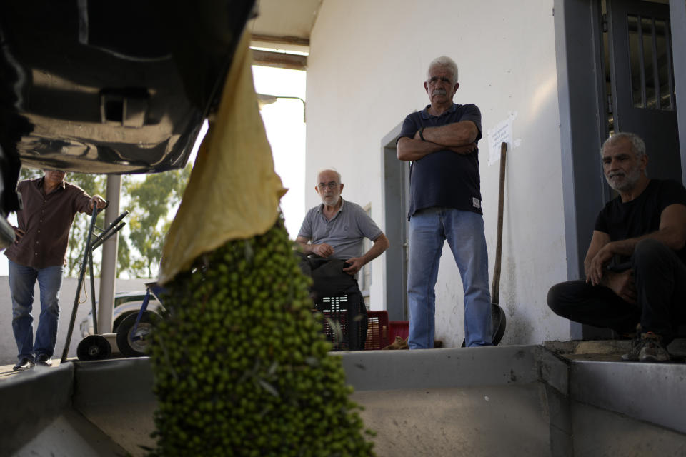 A man unloads olives into a loading bin as others look on at an olive oil mill in Spata suburb, east of Athens, Greece, Monday, Oct. 23, 2023. Across the Mediterranean, warm winters, massive floods, and forest fires are hurting a tradition that has thrived for centuries. Olive oil production has been hammered by the effects of climate change, causing a surge in prices for southern Europe's healthy staple. (AP Photo/Thanassis Stavrakis)