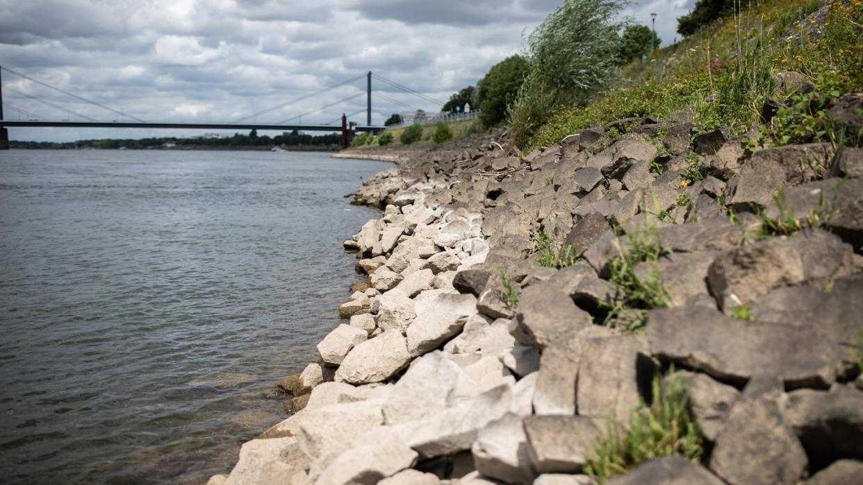 Deutlich in hell erkennbar ist der sonstige Wasserstand des Rheins.