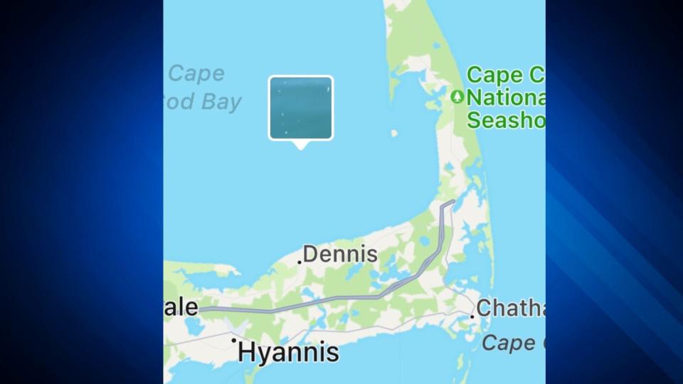 The great white shark was spotted Monday about four miles off the coast of Wellfleet in about 60 feet of water.