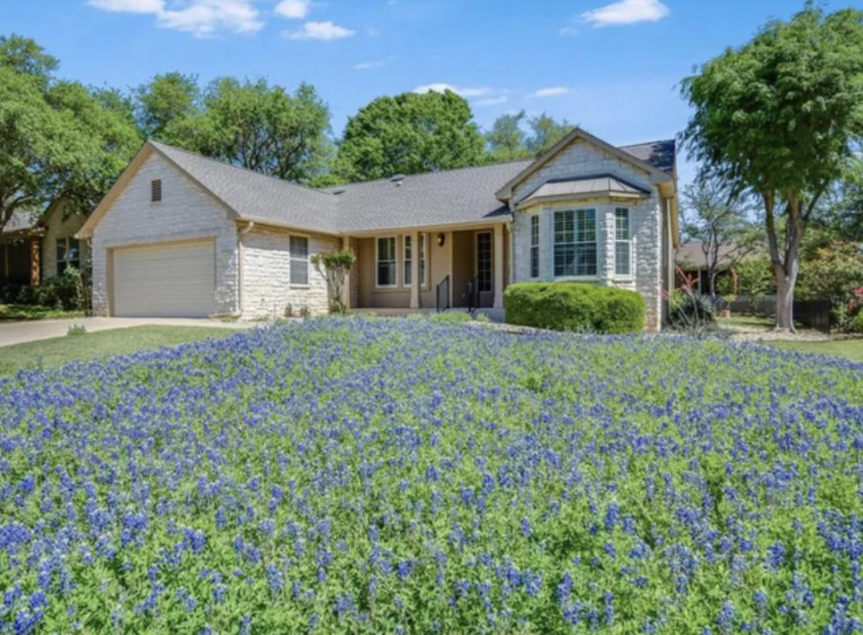 Bluebonnets in someone's yard