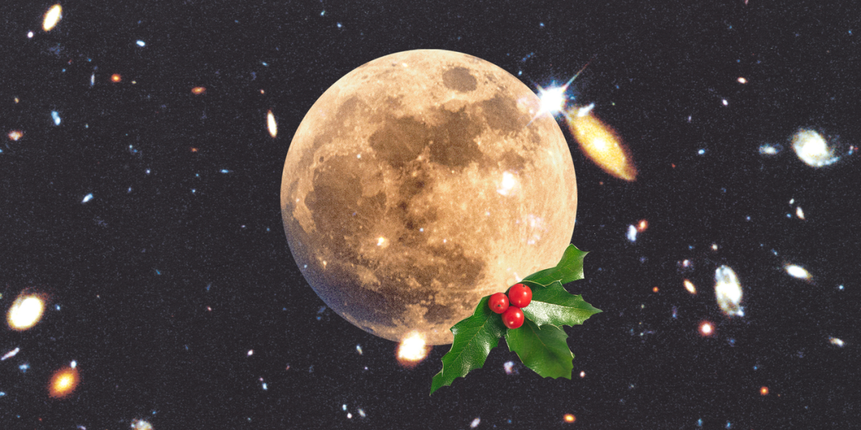 a sprig of holly on top of a full moon