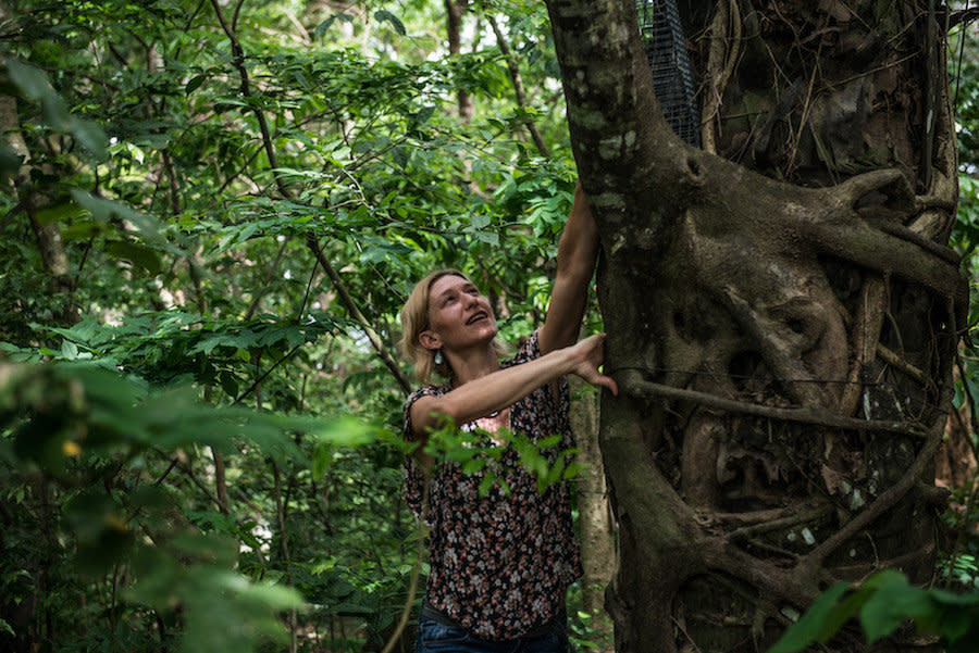 Laudisoit demonstrates how cages are set to trap animals for tagging and tracking as she and her team research the spread of monkeypox through rural communities across Congo. (Photo: Neil Brandvold/DNDi)