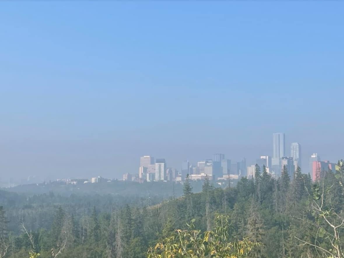 Air quality in Edmonton is at moderate risk Sunday morning, according to  Environment Canada's air quality health index. (Trevor Howlett/CBC - image credit)