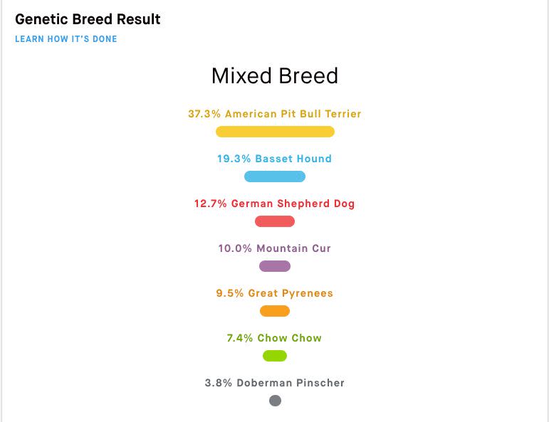 April's Embark DNA results. (Photo: Embark)